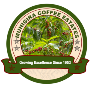 cropped muhingira 6.png